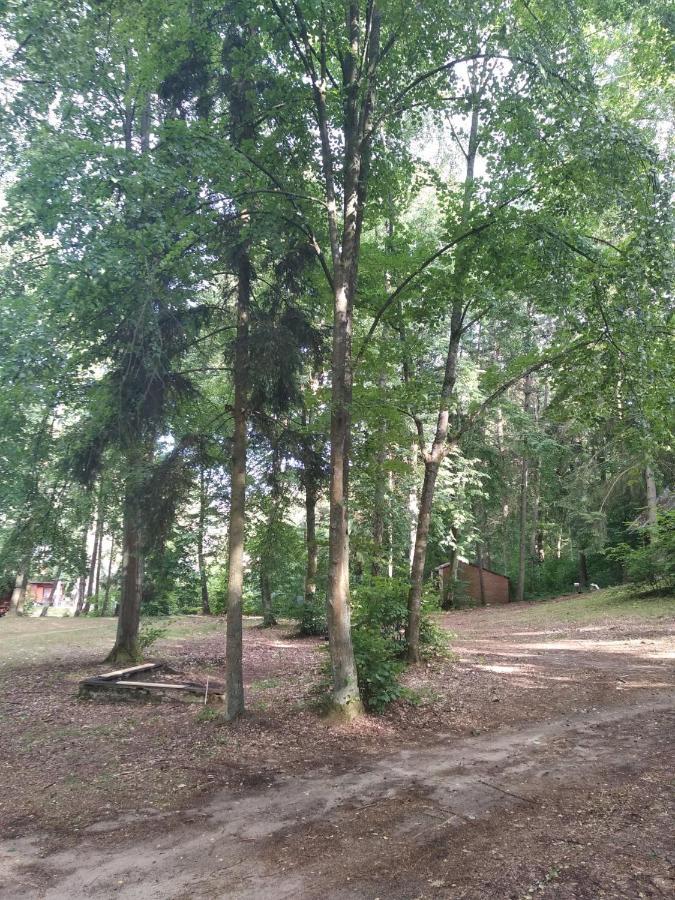 Oleandria -,,domek Jeżynka Nr 30 Biskupiec (Olsztyn)